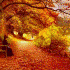 http://*****/plugins/content/relatedArticles/timthumb.php?src=images/stories/article/osen-poterialas.jpg&w=70&h=70&zc=1