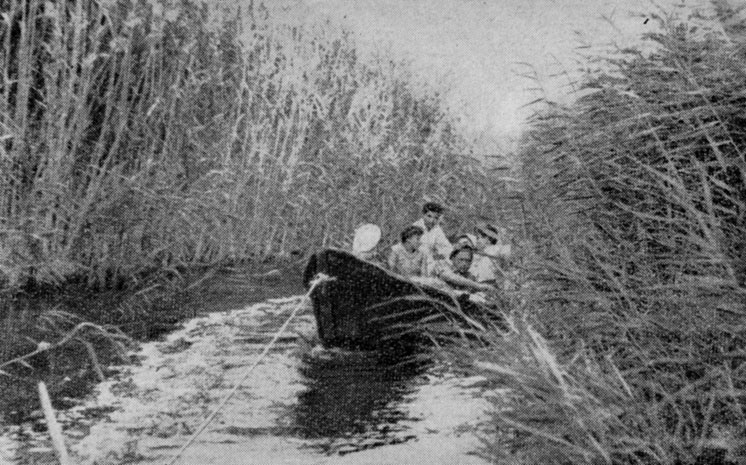В современной дельте Аму-Дарьи. Природные условия в районе Акча-Дарьинской дельты были близки этим