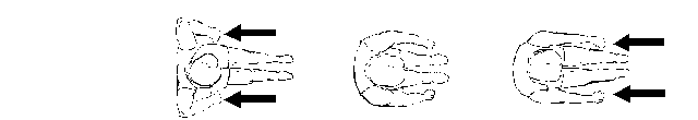 �������: 





