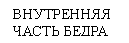 �������: