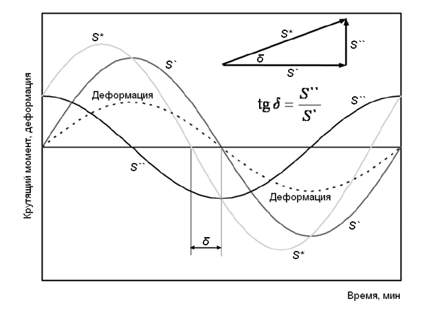 5289-2.jpg