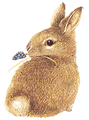 http://*****/pictures/hare_s/hare007.gif