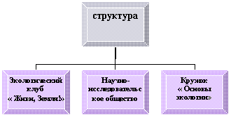 Организационная диаграмма