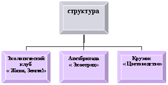 Организационная диаграмма