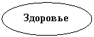 ����: ��������