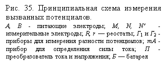 Подпись:
