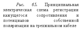 �������:
