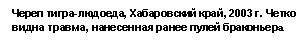 �������: