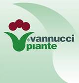 ��������: Vannucci piante nurseries Pistoia Italy