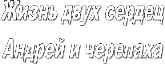 ����� ���� ������

������ � ��������

