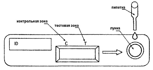 тестирование тест-кассетой