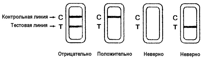 интерпретация результата