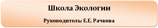Скругленный прямоугольник: Школа Экологии
Руководитель: Е.Е. Рачкова