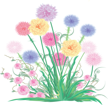 F:\��������\_large_clipartnarisovannyecvety[1].png