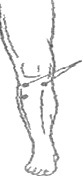 http://*****/2009/14/3.3.jpg