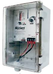 AMP1