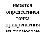 �������: ������� ����-�������� ����� ������������ �� ���������