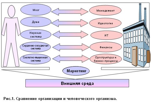 http://nnikolenko.com/admin/files/articals/004/001.jpg
