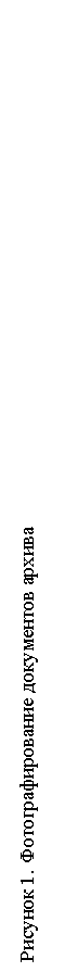 �������: