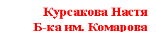 �������: