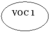 ����: VOC 1