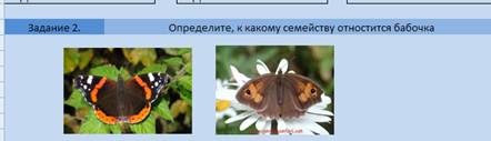 G:\��������������\����1.1.bmp