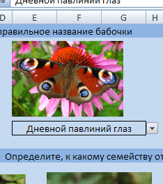 G:\��������������\����5.bmp