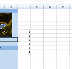 C:\Documents and Settings\Admin\������� ����\��������������\����7.bmp