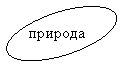 ����: �������