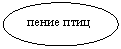 ����: ����� ����