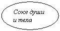 ����: ���� ���� � ����