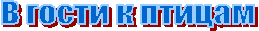 � ����� � ������