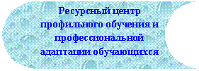 Блок-схема: сохраненные данные: Ресурсный центр профильного обучения и профессиональной адаптации обучающихся
г. Липецка