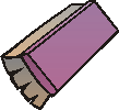 >duster 
