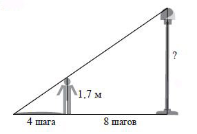 p01.JPG