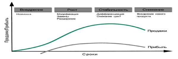 Жизненный цикл продукции
