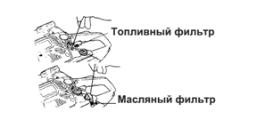 �������: 