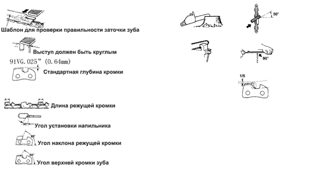 �������: 


