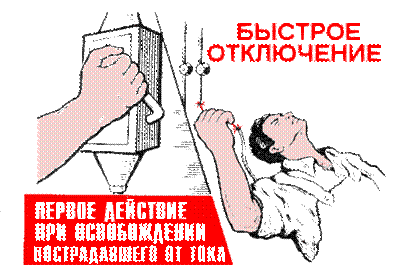 RP2_1.gif (31280 bytes)
