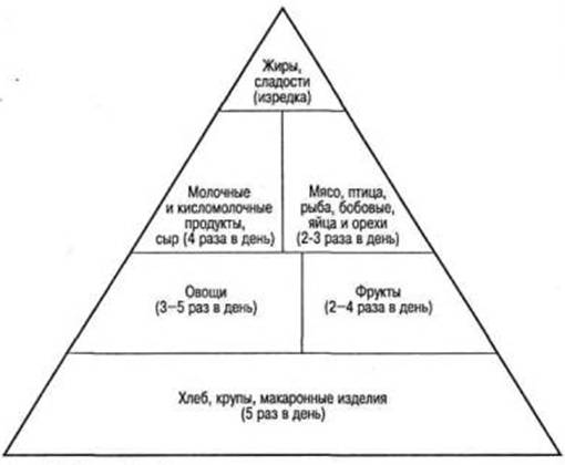 ris4_22.jpg