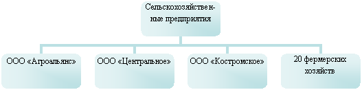 Организационная диаграмма