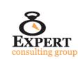 EXPERT - consulting group