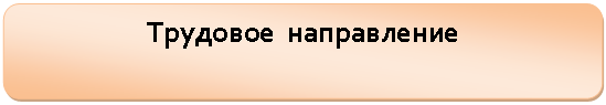 Скругленный прямоугольник: Трудовое направление