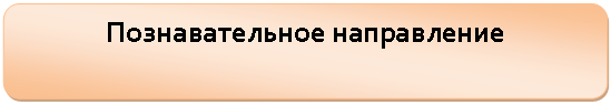 Скругленный прямоугольник: Познавательное направление