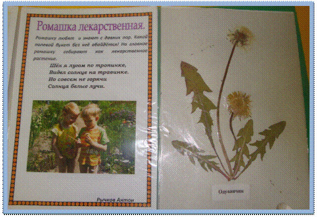 C:\Users\мвидео\Desktop\фото 3 группы\DSC08039.JPG