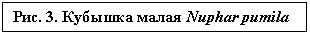 �������: