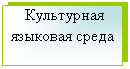 �������: ���������� 

�������� �����


