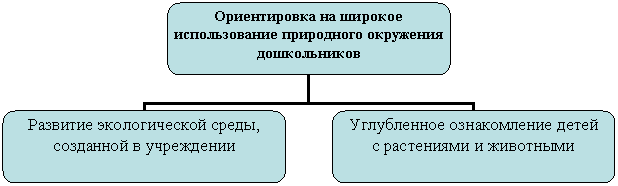 Организационная диаграмма