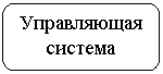 ����������� �������������: ����������� �������
