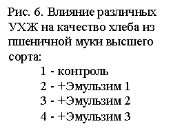 �������: